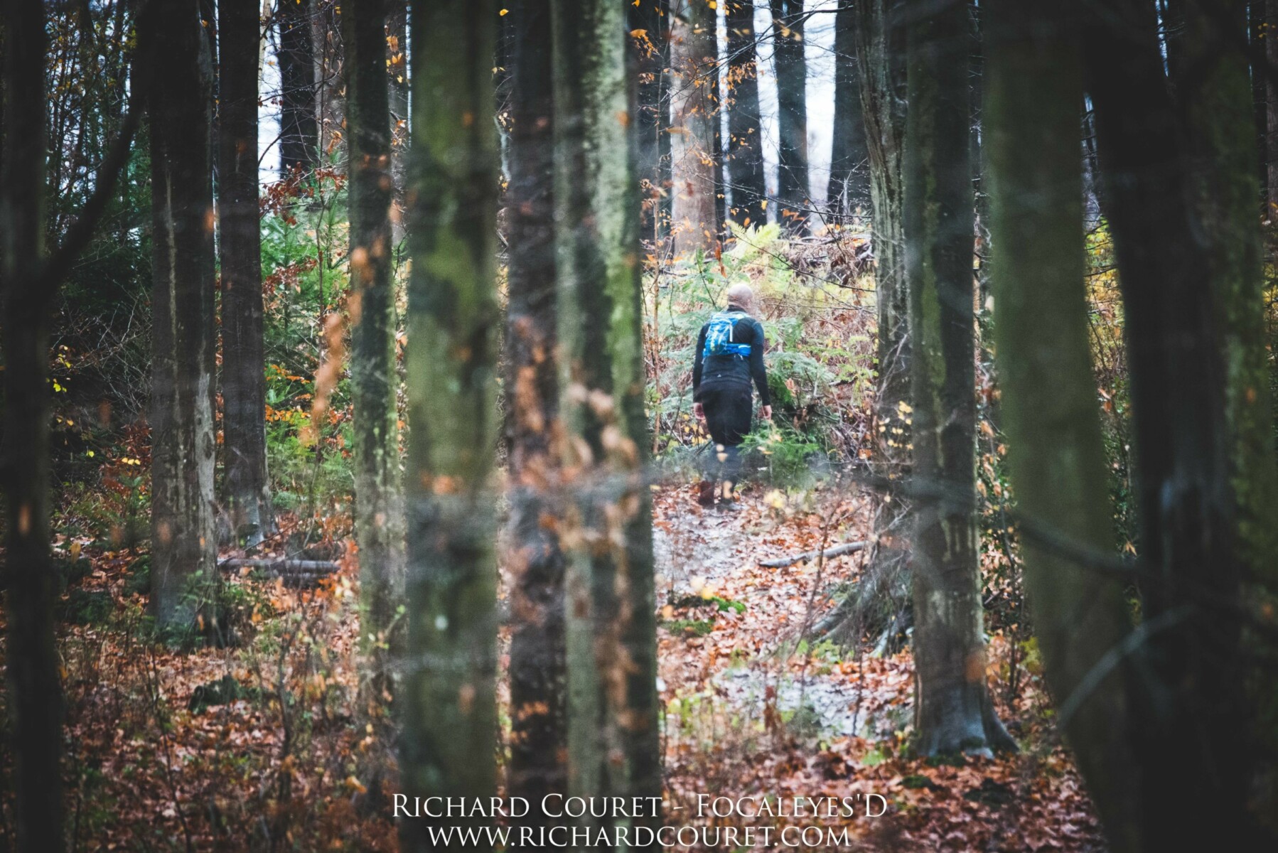 Édition 2021 Les 40 bosses Trail en forêt de Montmorency